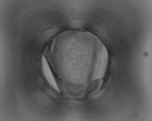 X0000091900080200710031830