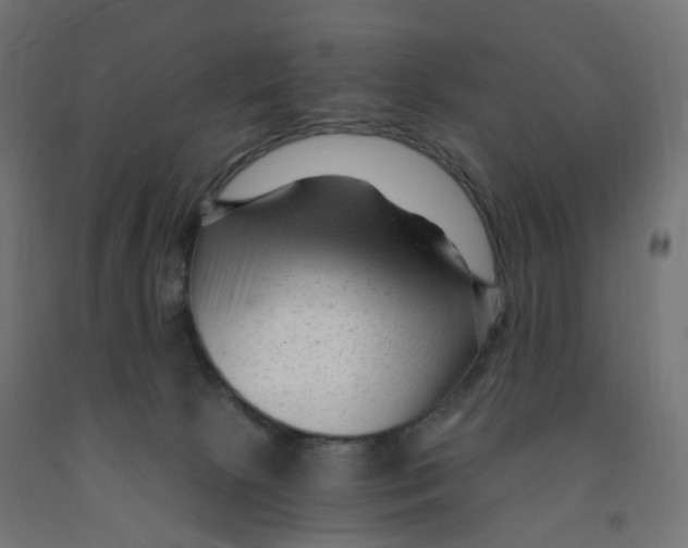 X0000091900081200710031830