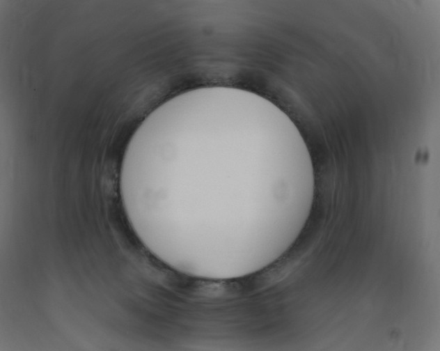 X0000091900083200710031830