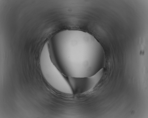 X0000091900084200710031830