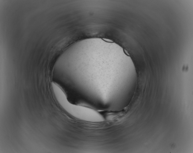 X0000091900085200710031830