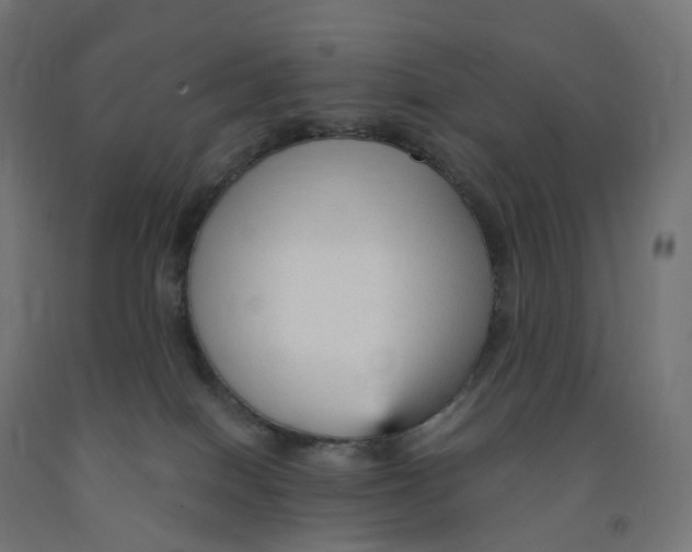 X0000091900086200710031830