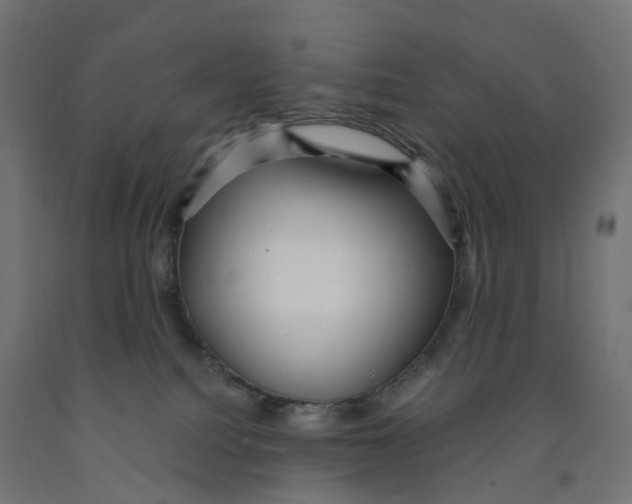 X0000091900088200710031830