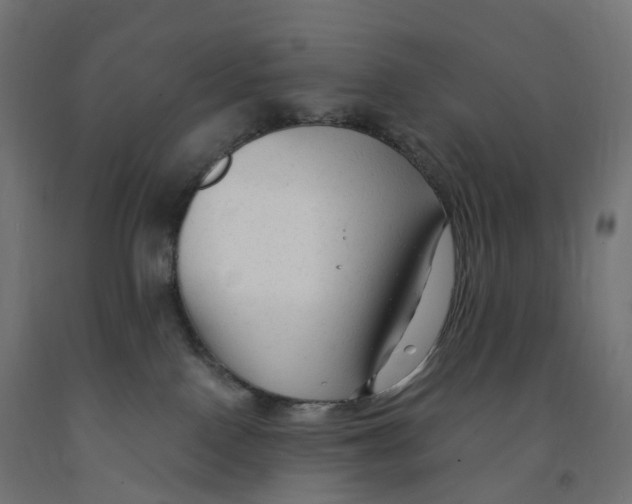 X0000091900090200710031830