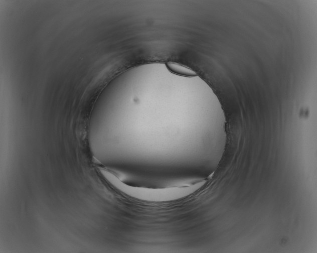 X0000091900091200710031830