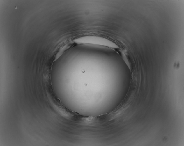 X0000091900092200710031831