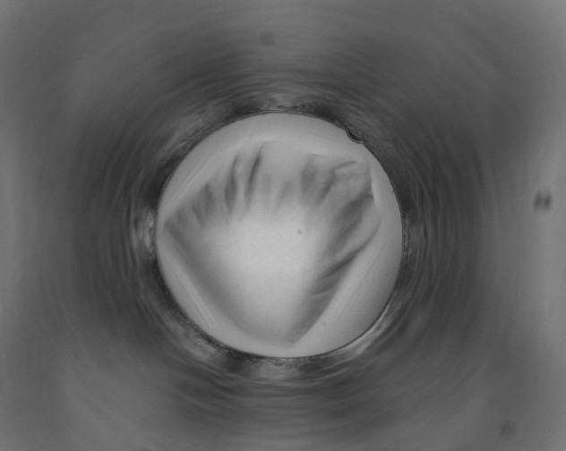 X0000091900094200710031831