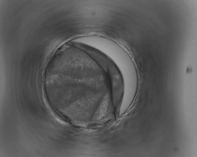 X0000091900097200710031830