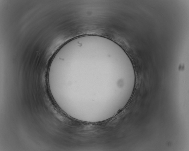 X0000091900098200710031830