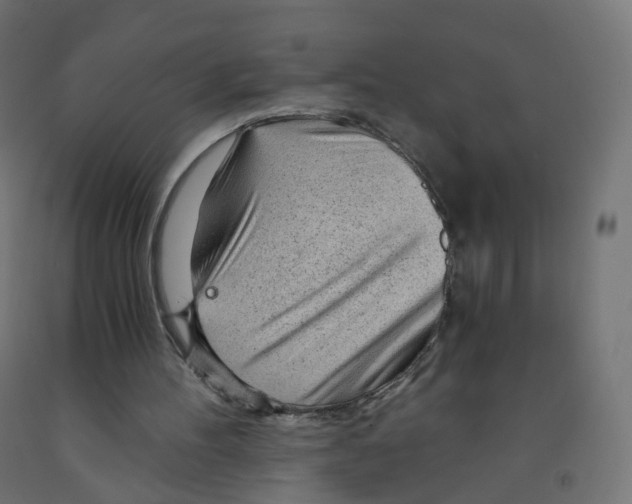 X0000091900100200710031830