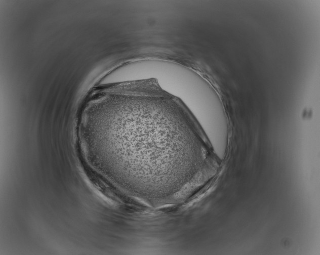 X0000091900101200710031830