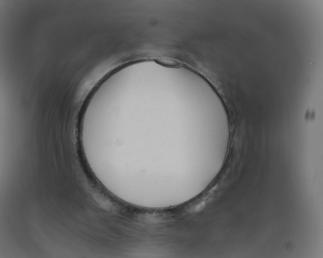 X0000091900103200710031830