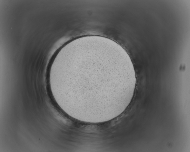 X0000091900104200710031830