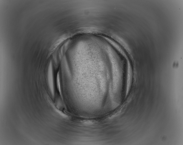 X0000091900105200710031830