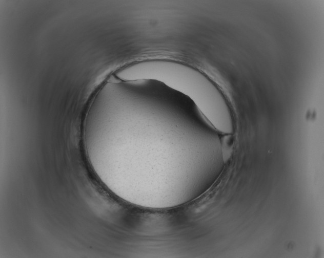 X0000091900107200710031830