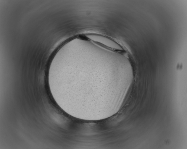 X0000091900108200710031830