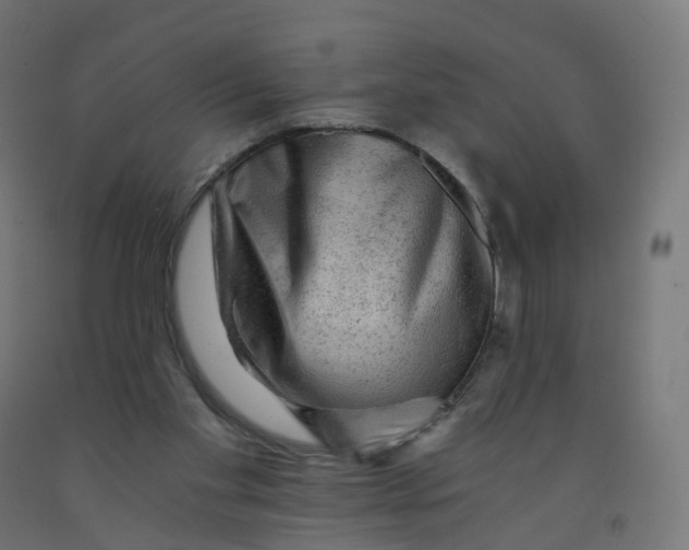 X0000091900109200710031830