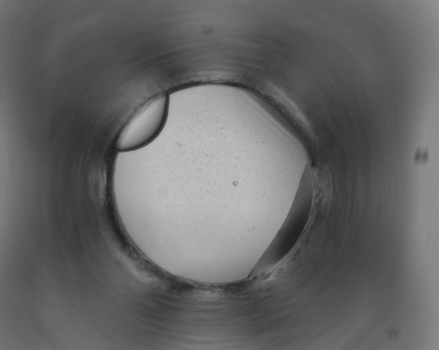 X0000091900110200710031830