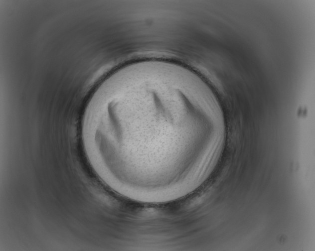 X0000091900111200710031830