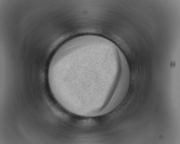 X0000091900112200710031830