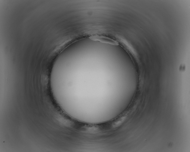 X0000091900113200710031830