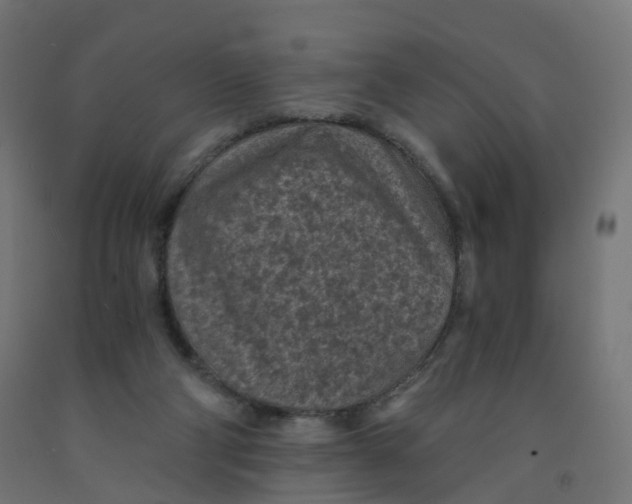 X0000091900114200710031830