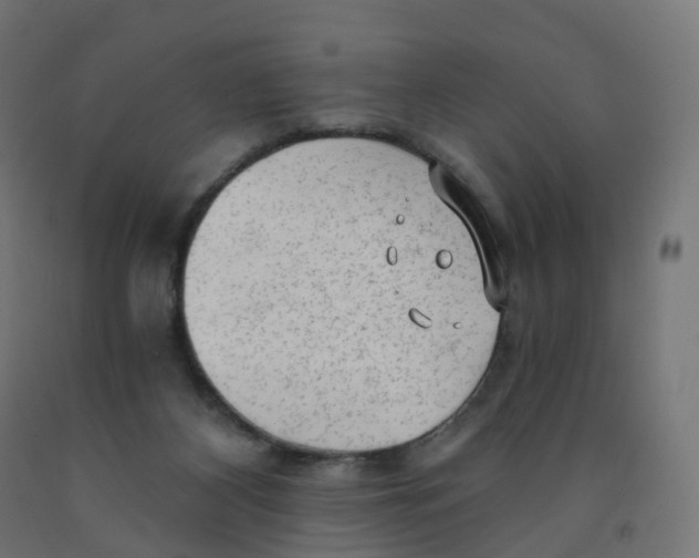 X0000091900116200710031830