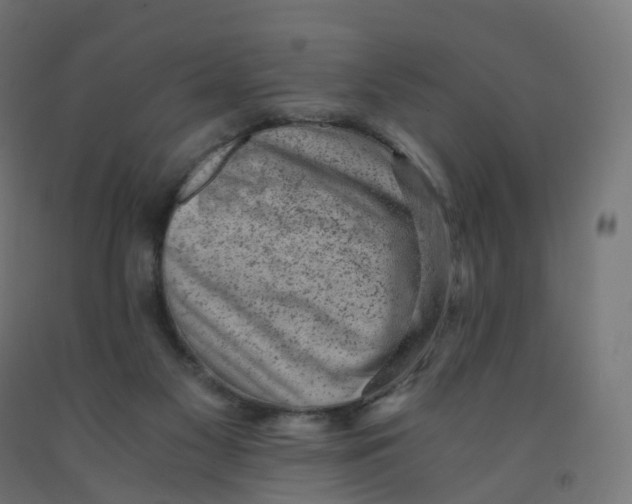 X0000091900117200710031830