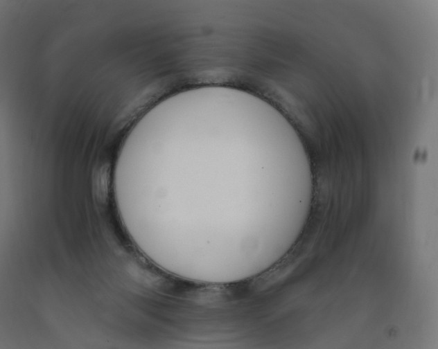 X0000091900118200710031830