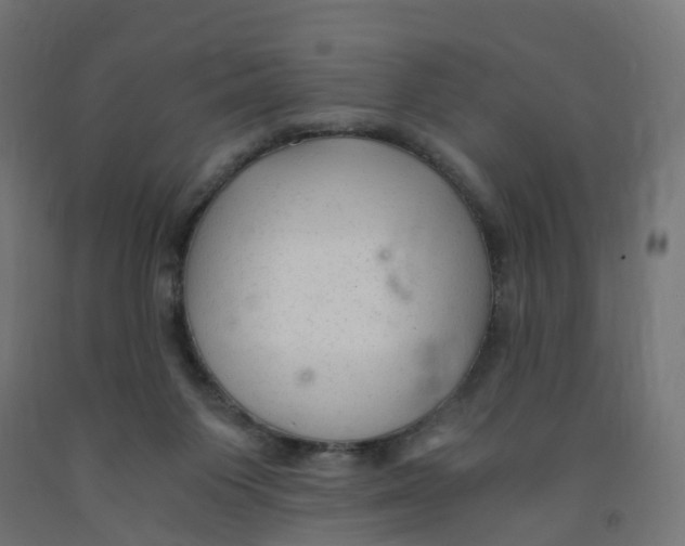 X0000091900119200710031830