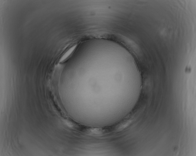 X0000091900121200710031829