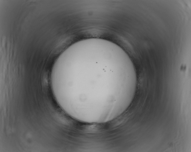 X0000091900122200710031829