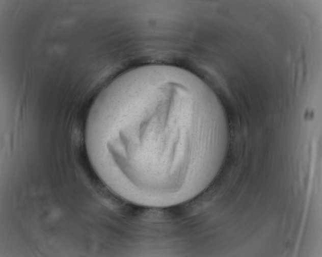 X0000091900123200710031829