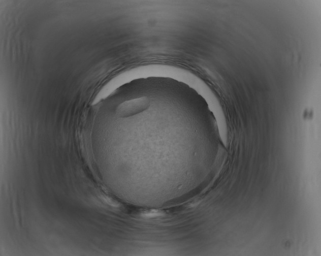 X0000091900125200710031829