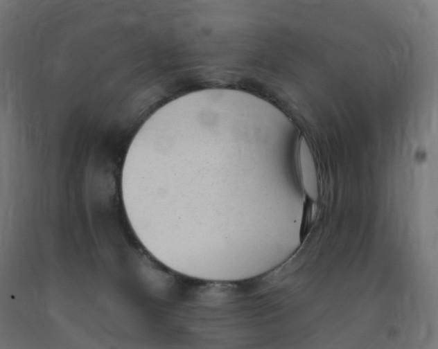 X0000091900128200710031829