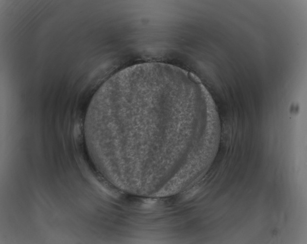 X0000091900130200710031829