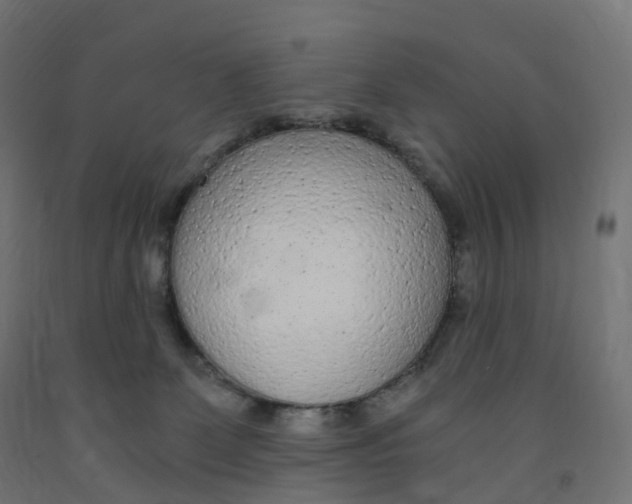 X0000091900131200710031829