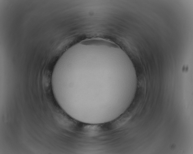 X0000091900133200710031829