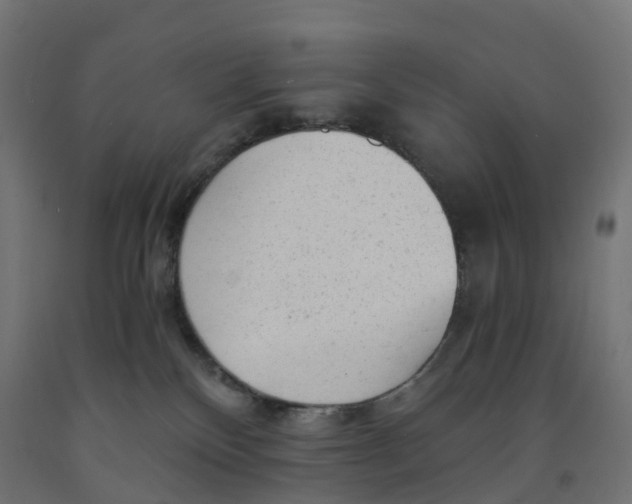 X0000091900136200710031829