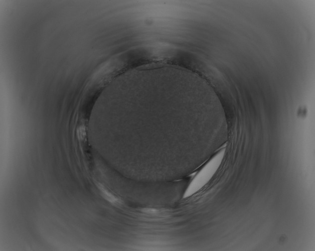 X0000091900137200710031829