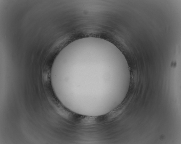 X0000091900138200710031829