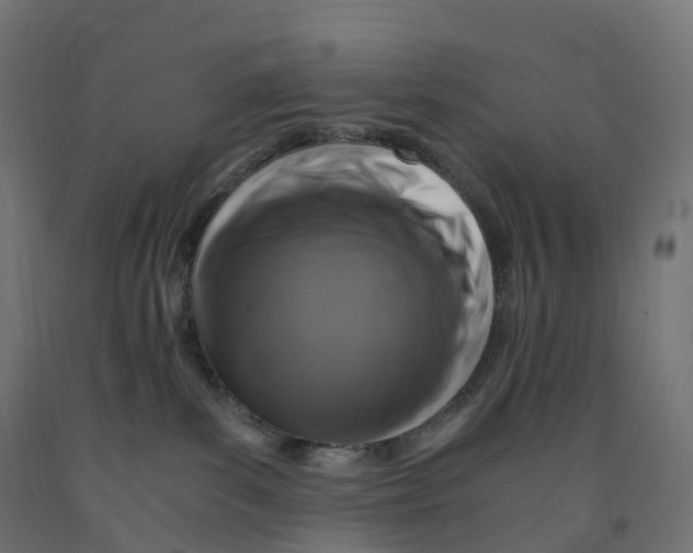 X0000091900139200710031829