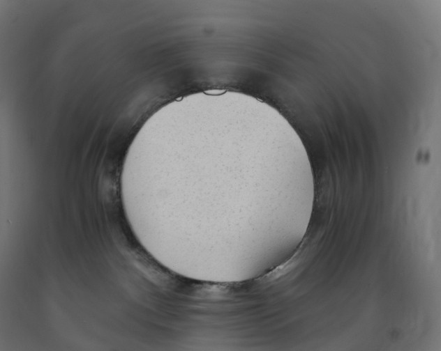 X0000091900140200710031829