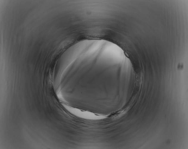 X0000091900143200710031829