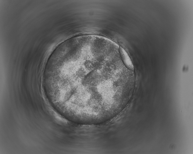 X0000091900145200710031829