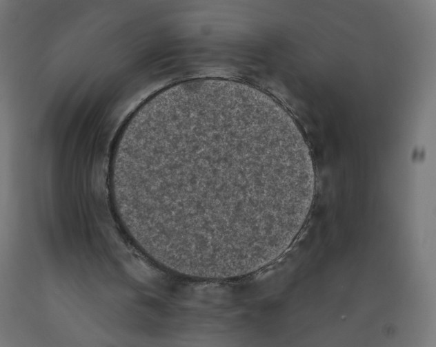 X0000091900146200710031829