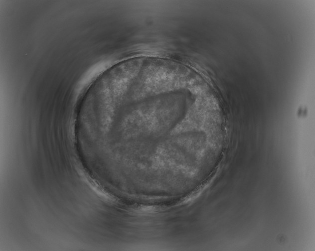 X0000091900149200710031829