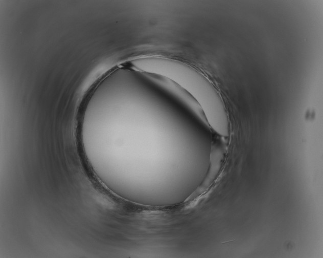 X0000091900150200710031829