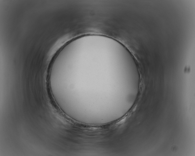 X0000091900151200710031829