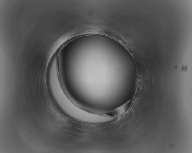 X0000091900152200710031829